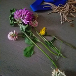 Samuna Wreh - Flickr Profile Picture of Samuna Wreh (@samunawreh1) on Flickr