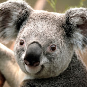 Neil Roberson - Youtube Profile Picture of Neil Roberson (@neilroberson2337) on Youtube