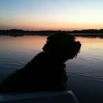 Profile Picture of Bruce Perreault (@perreaultbruce) on Instagram