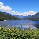 Profile Picture of Colleen Johnson (@colli.flowers) on Instagram