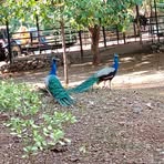 Profile Picture of Hooker Jeff (@Hooker-Jeff) on Facebook