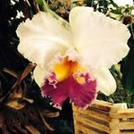 Profile Picture of Darla Schuehrer (@darlaschuehrer) on Instagram