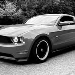 Profile Picture of Bryce Whitlock (@bryce.whitlock.98) on Facebook