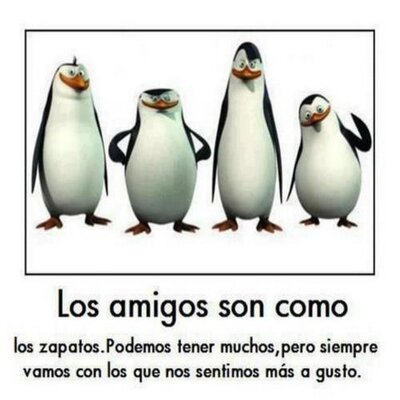 Profile Picture of Bryan Jerez (@bryanjerez5) on Twitter