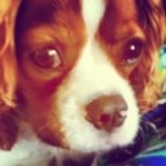 Profile Picture of Ernie Charles Manning (@awesomelifeofernie) on Instagram