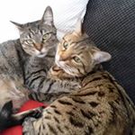 Profile Picture of Mandy Hase (@hasemandy) on Instagram