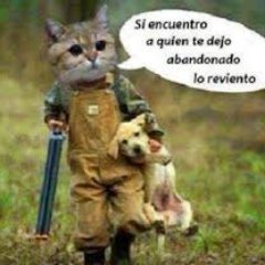 Profile Picture of Andy Quiros Hidalgo (@fmh1101) on Twitter