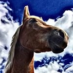 Profile Picture of Wallingford D. Pone (@belflinger_walle) on Instagram