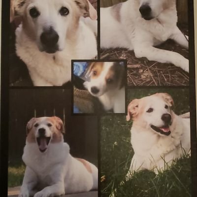 Profile Picture of John Duerr (@JohnDuerr11) on Twitter