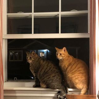 Profile Picture of Kenny Beresford (@kenny.beresford.3) on Facebook