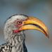 Profile Picture of Patrick Avet L'Oiseau (@avet.loiseau) on Facebook
