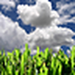 Profile Picture of Sofia Abboud (@sofia abboud) on Flickr