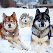 Profile Picture of Tikanni Kita N Tehya (@TikanniKitaTehya) on Youtube