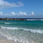 Profile Picture of Sandy Bartel (@sandy.bartel) on Instagram