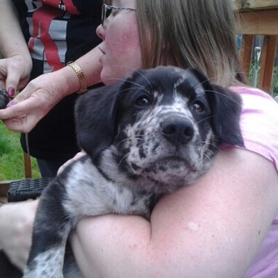 Profile Picture of Janet MacLean (@wanjetmom) on Twitter