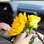 Profile Picture of Tonya shook (@tonyashook63) on Instagram