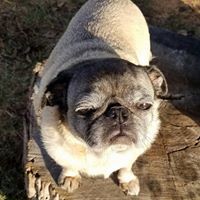 Profile Picture of Brandi Vaughn (@brandi-vaughn-2) on Quora