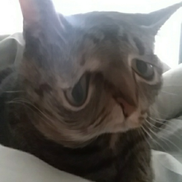 Abby Dzwik - Poshmark Profile Picture of Abby Dzwik (@adzwik) on Poshmark