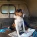 Profile Picture of Thomas Haines (@thomas.haines.908) on Facebook