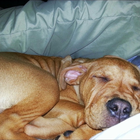 Profile Picture of Gregory Wiginton (@gregwiginton) on Poshmark