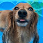 Profile Picture of Libby Johnson (@lifewith_libby) on Instagram