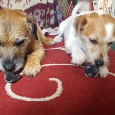 Profile Picture of Andy Lakin (@LakinAndy) on Twitter