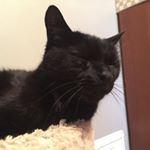 Profile Picture of Heidi Page (@gary_heidingham) on Instagram