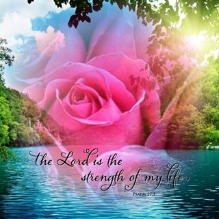 Profile Picture of Denise Nettles (Nisey  Coleman) (@denise.nettles.750) on Facebook