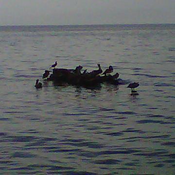 Kevin - Twitter Profile Picture of Kevin (@kevindun2012) on Twitter