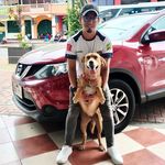 Profile Picture of Luis Borrego (@siul_duck) on Instagram