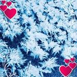 Profile Picture of Lisa Sidorova (@lisa.sidorova) on Instagram