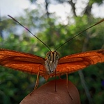 Profile Picture of Brayan Perez Vasquez (@bperezvaquez) on Flickr