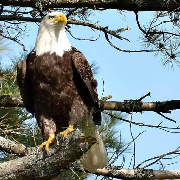 Profile Picture of John Kozikowski (@jkozikowski) on Poshmark