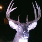 Profile Picture of Robert Copley (@rdcopley) on Instagram