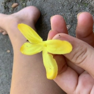 Profile Picture of Alexia Schmidt (@AlexiaSchmidt16) on Twitter