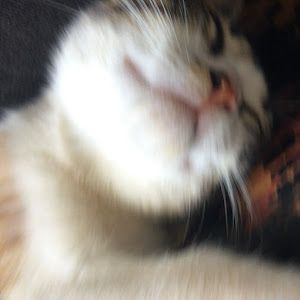 Profile Picture of sharon (@sharonstokes98) on Tiktok