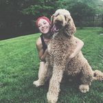 Profile Picture of Lindsay Fowler (@lindsayfowler57) on Instagram