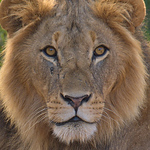 Profile Picture of Eric Hunter (@heric09) on Flickr