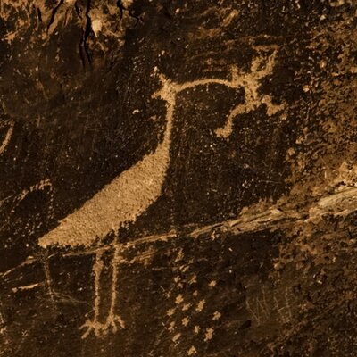 Profile Picture of Tony Lux (@agavekid) on Twitter