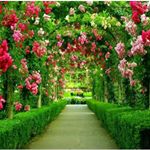 Profile Picture of Ahmed Abdella (@ahmed.abdella.9461799) on Instagram
