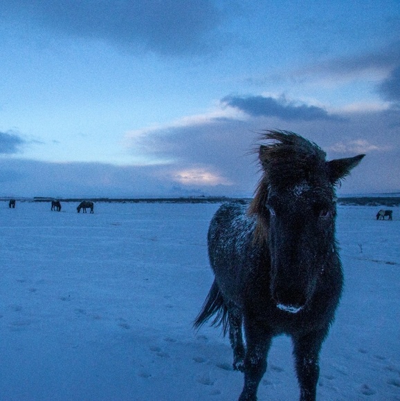 Profile Picture of Alice Wang (@schmalice) on Poshmark