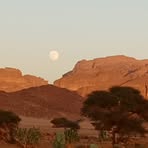 Profile Picture of Laid Hamoudi (@Laid-Hamoudi) on Facebook