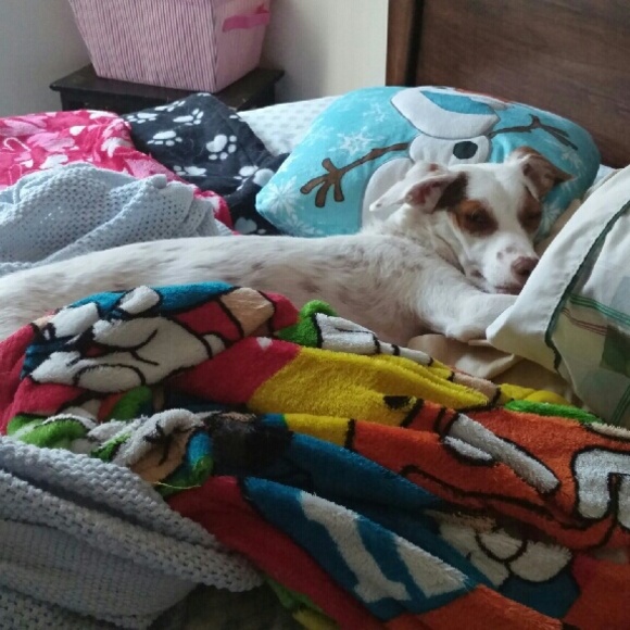 Profile Picture of Sarah Alcantara (@sarahhhx) on Poshmark