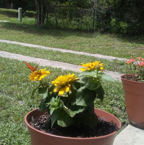 Profile Picture of Jo Oneill (@great287) on Poshmark