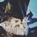 lucas william guthrie - Instagram Profile Picture of lucas william guthrie (@lucasguthrie530) on Instagram