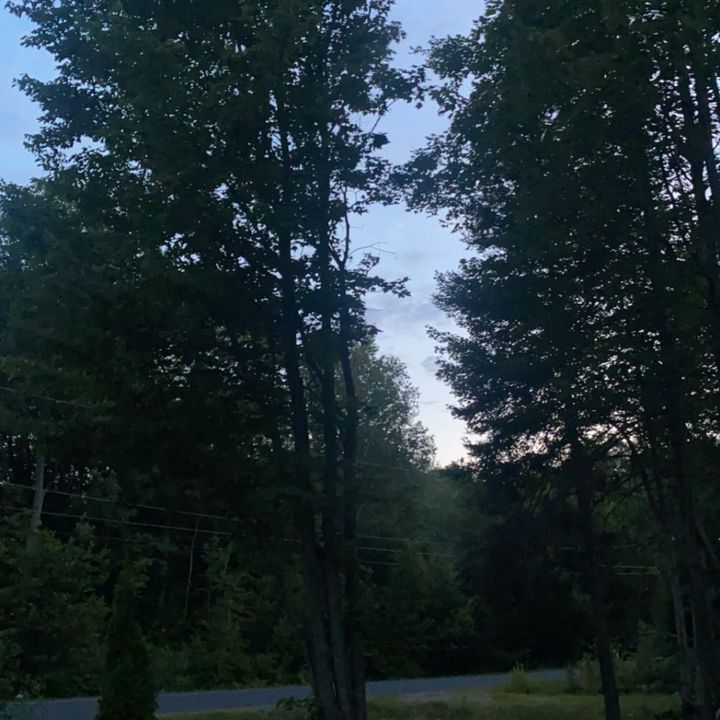 Profile Picture of talia (@taliagagnonn) on Tiktok