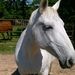 Profile Picture of Sandra Covert Clark (@pvlyranch) on Pinterest