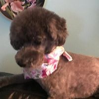 Profile Picture of Janet Blackburn (@janet-blackburn-3) on Quora