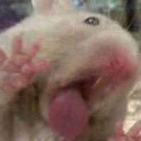 Profile Picture of Jimmy Fong (@jimmy-fong-10) on Quora