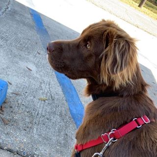 Profile Picture of Cora Paisley (@corapastry04) on Facebook